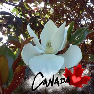 Meet your Posher, Delores